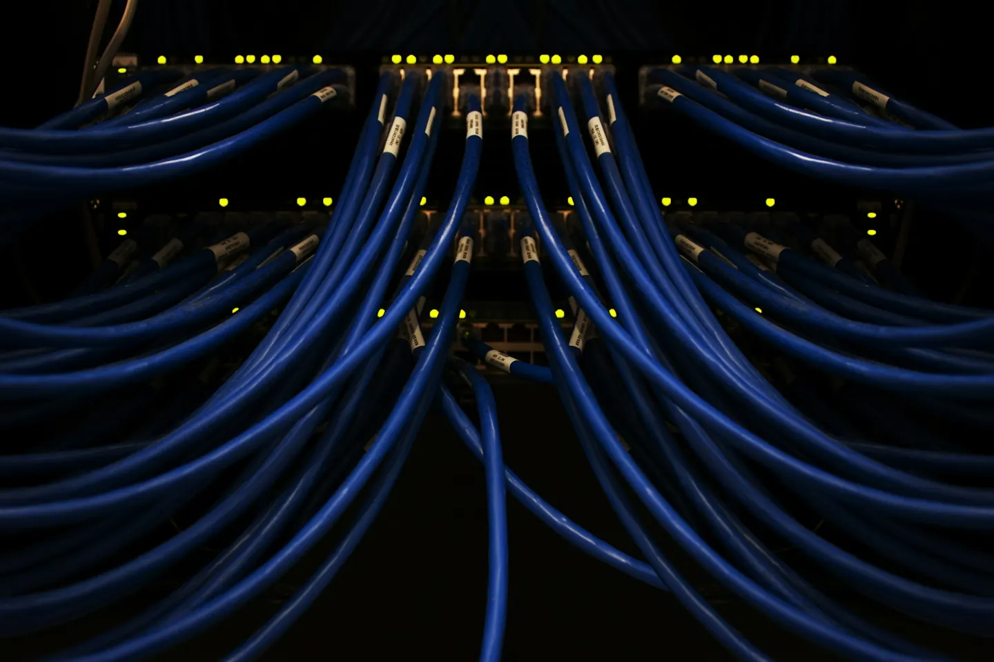 Rows of blue network cables plugged into a switch