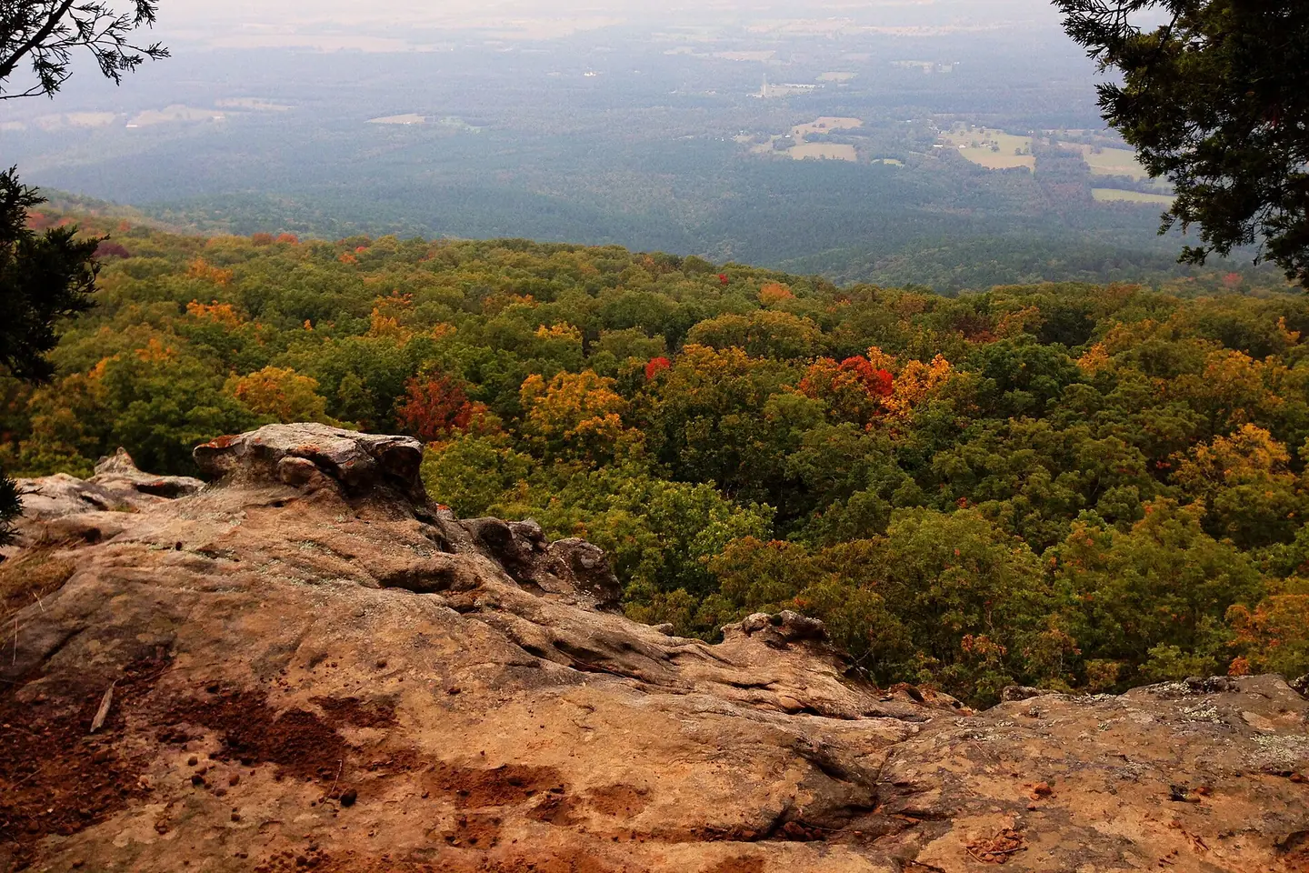 Fall color below a sandstone ledge on Mount Magazine, with farmland in the valley beyond